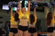 Thumbs/tn_DFB_9284.jpg