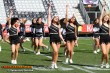 Thumbs/tn_IMG_1257.jpg