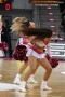 Thumbs/tn_IMG_7291.jpg