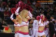 Thumbs/tn_IMG_7361.jpg