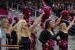 Thumbs/tn_IMG_8090.jpg