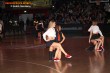 Thumbs/tn_IMG_8877.jpg