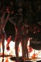 Thumbs/tn_DFB_7685.jpg