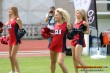 Thumbs/tn_46_DFB_8712.jpg
