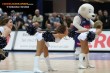 Thumbs/tn_DFB_9895.jpg