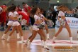 Thumbs/tn_DFB_7623.jpg
