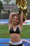 Thumbs/tn_IMG_5990.jpg