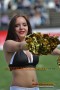 Thumbs/tn_IMG_8330.jpg