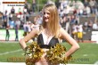 Thumbs/tn_IMG_8733.jpg