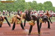 Thumbs/tn_IMG_0474.jpg