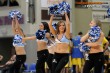 Thumbs/tn__STC0266.jpg