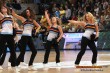 Thumbs/tn_DFB_2493.jpg