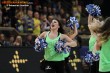 Thumbs/tn_DFB_8101.jpg