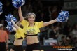 Thumbs/tn_DFB_1180.jpg