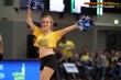 Thumbs/tn_DFB_1198.jpg