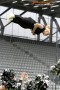 Thumbs/tn_DFB_7885.jpg