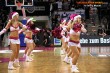 Thumbs/tn_IMG_3651.jpg