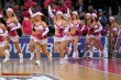 Thumbs/tn_DFB_2947.jpg