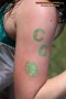Thumbs/tn_IMG_7330.jpg