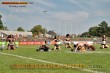 Thumbs/tn_IMG_2914.jpg