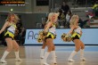 Thumbs/tn_DFB_5869.jpg