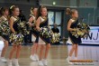 Thumbs/tn_DFB_6111.jpg
