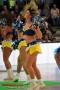 Thumbs/tn_DFB_7804.jpg