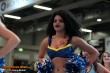 Thumbs/tn_IMG_4212.jpg