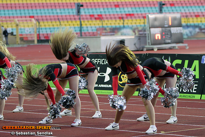 ../Images/DFB_5616.jpg