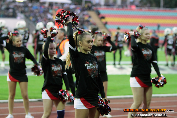 ../Images/DFB_5629.jpg