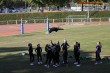 Thumbs/tn_IMG_2736.jpg