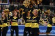Thumbs/tn_DFB_5301.jpg