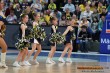 Thumbs/tn_DFB_9038.jpg