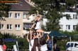 Thumbs/tn_IMG_1345.jpg
