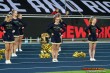 Thumbs/tn_DFB_9856.jpg