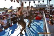 Thumbs/tn_IMG_2622.jpg