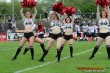 Thumbs/tn_DFB_3743.jpg