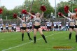 Thumbs/tn_DFB_3783.jpg