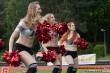Thumbs/tn_DFB_3852.jpg