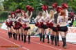 Thumbs/tn_DFB_3925.jpg