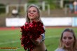 Thumbs/tn_IMG_9521.jpg