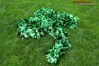 Thumbs/tn_IMG_4557.jpg