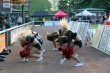 Thumbs/tn_IMG_6194.jpg