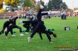 Thumbs/tn_IMG_1868.jpg