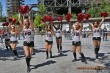 Thumbs/tn_IMG_9683.jpg