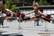 Thumbs/tn_IMG_9789.jpg