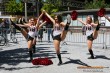Thumbs/tn_IMG_9809.jpg