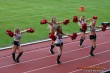 Thumbs/tn_IMG_6085.jpg