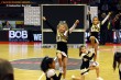 Thumbs/tn_IMG_6265.jpg