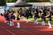 Thumbs/tn_IMG_9743.jpg